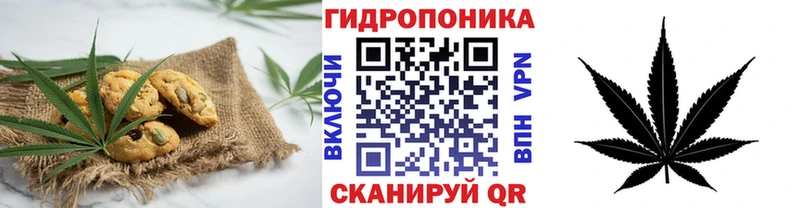 кракен ONION  Киреевск  Canna-Cookies марихуана 