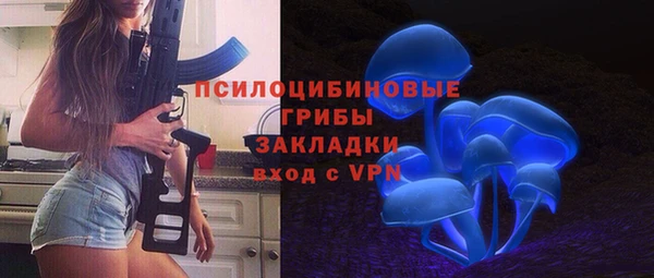 стаф Богородск