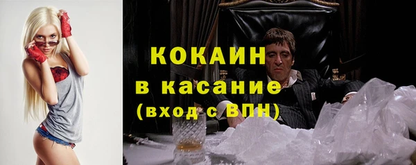 стаф Богородск