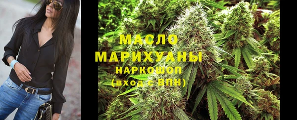 стаф Богородск