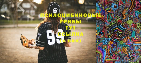 стаф Богородск