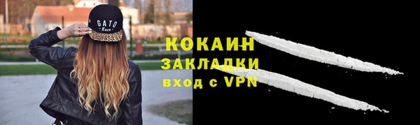 стаф Богородск