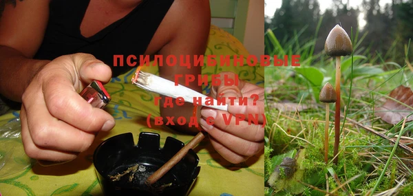 меф Богородицк