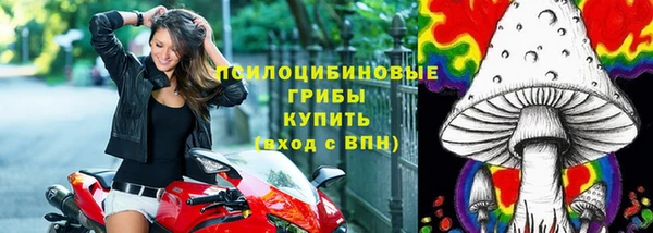 PSILOCYBIN Богданович
