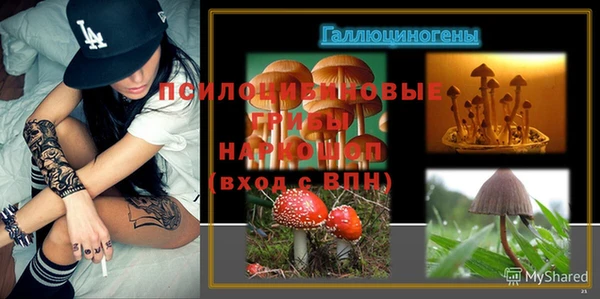 меф Богородицк