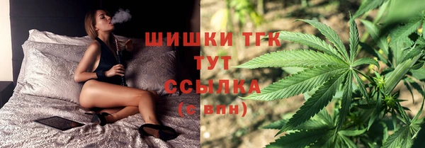 PSILOCYBIN Богданович