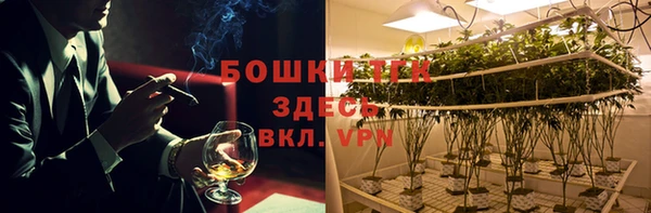 стаф Богородск