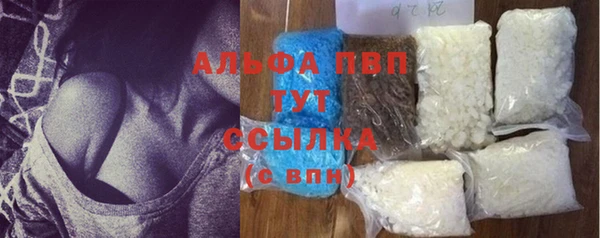 стаф Богородск